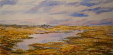 Dunes with Tidal Pools 1
8" x 16"
watercolor
©2012
$200*
